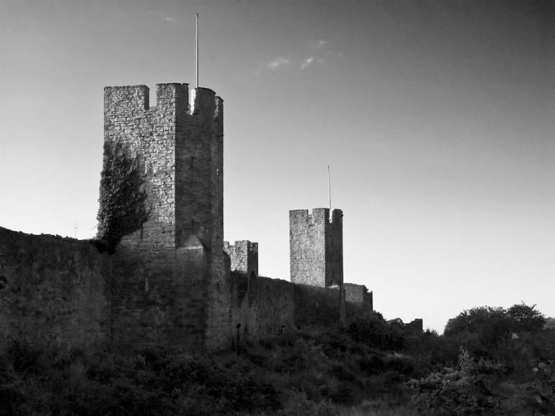 Unearthing Viking History in Gotland