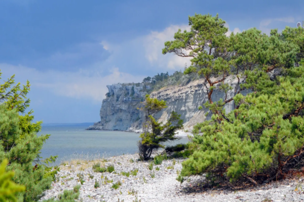 <strong>Gotland: A Swedish Island Paradise for History Buffs and Beach Lovers</strong>